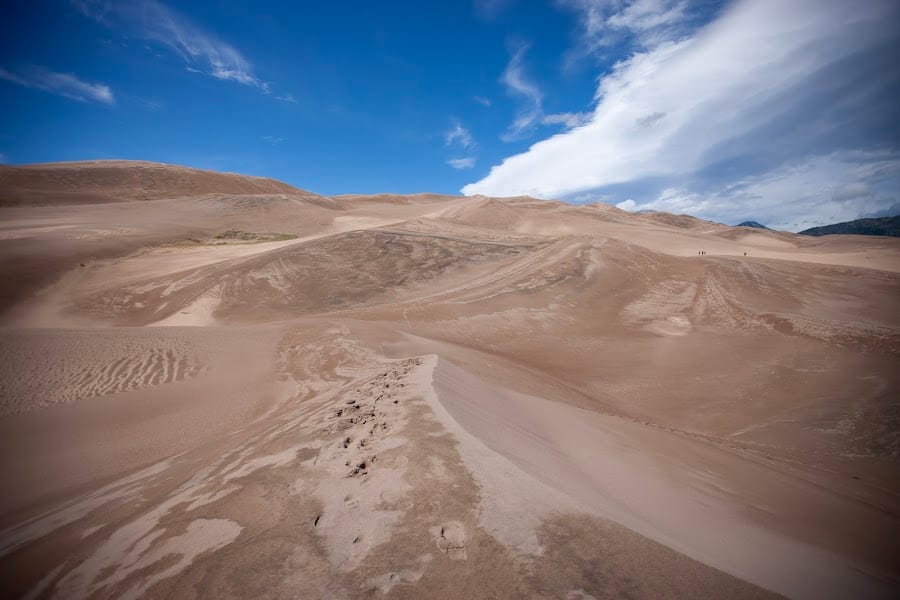2024 Ramble Dunes photo