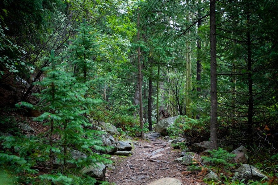 2023 Rutherford Trail photo