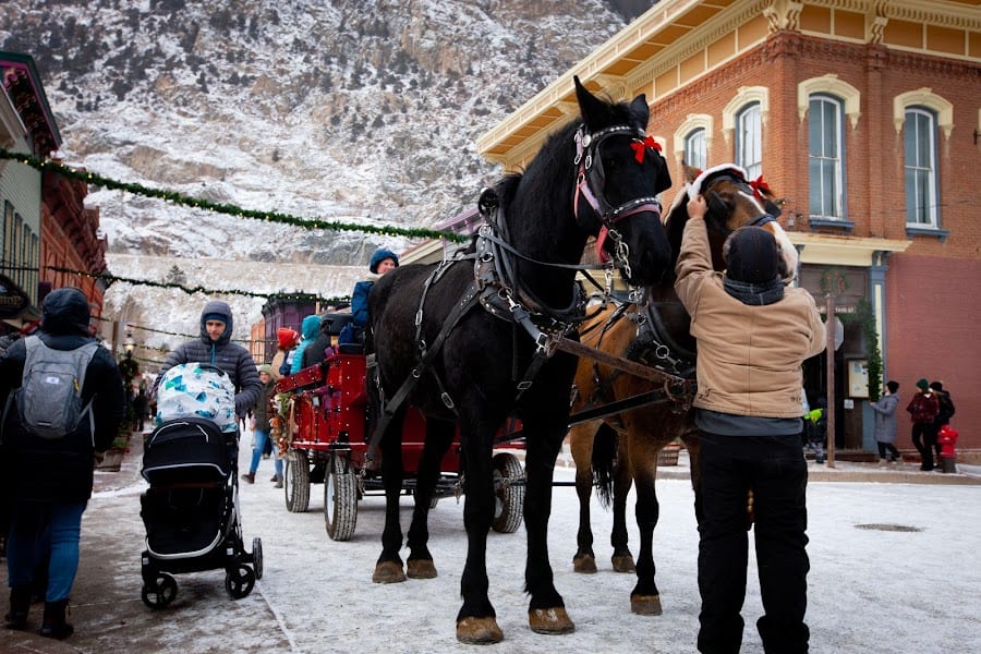 2023 Georgetown Christmas Market photo