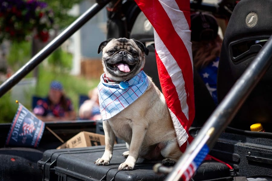 2026 Fourth of July Georgetown photo