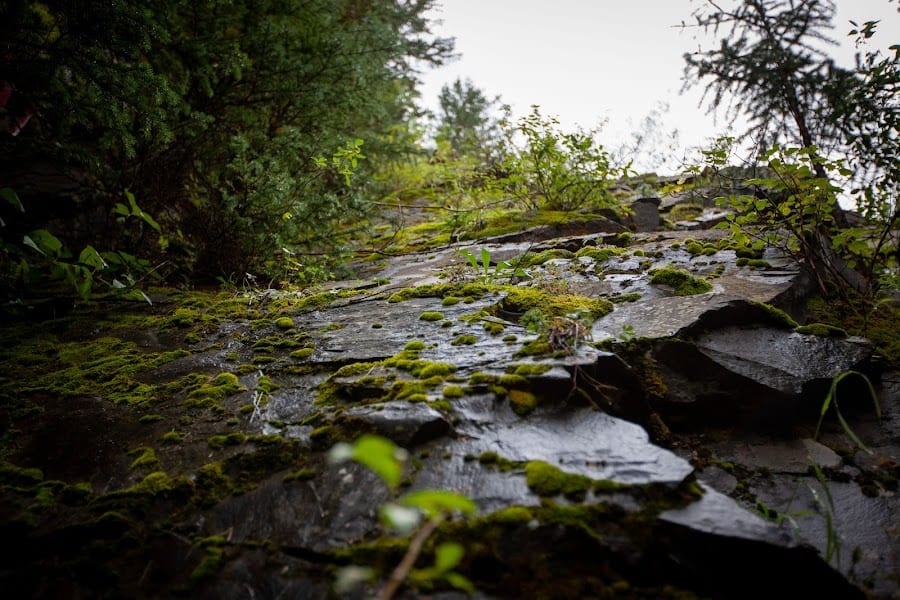 2023 Rutherford Trail photo