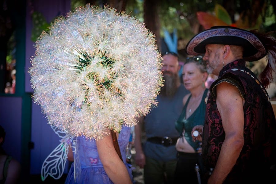 2026 Colorado Renaissance Festival photo
