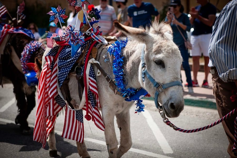 2026 Fourth of July Georgetown photo