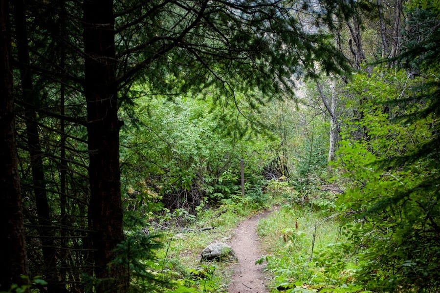 2023 Rutherford Trail photo