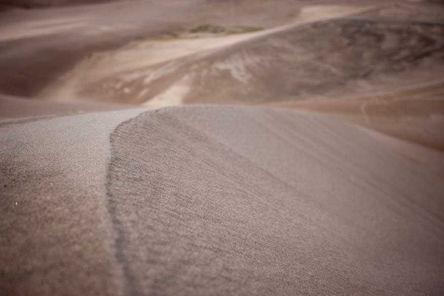 2024 Ramble Dunes photo