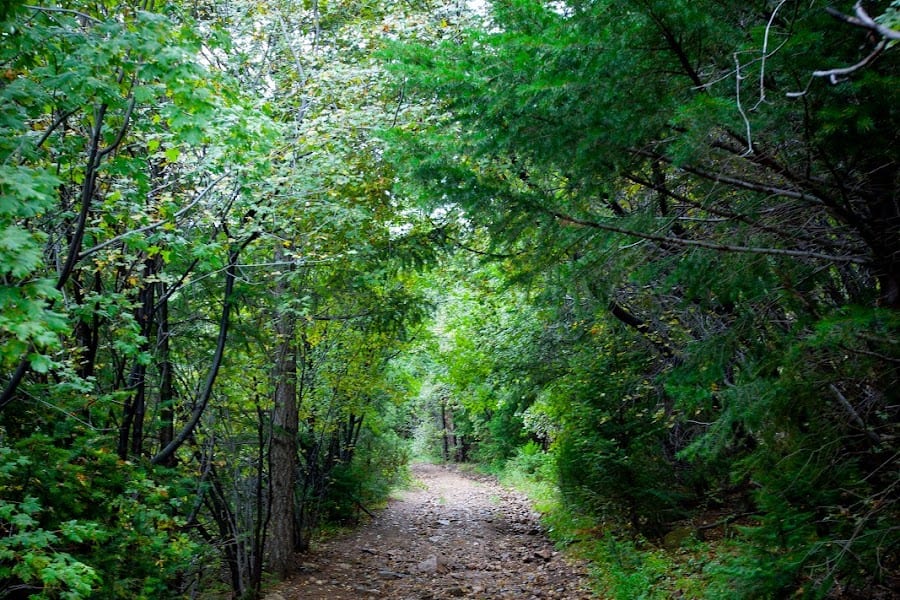 2023 Rutherford Trail photo